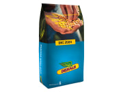 Saatmais DKC 2684 EH Sack Standard Saatmais DKC 2684 EH Sack Standard
