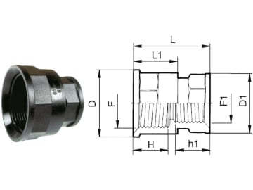 Agrotop Reduzierstück G 1 1/2" IG (BSP) / G 1 1/4" IG (BSP) N/A h1 25 mm Länge 55 mm mit beidseitig Innengewinde (IG), 10800 Agrotop Reduzierstück G 1 1/2" IG (BSP) / G 1 1/4" IG (BSP) N/A h1 25 mm Länge 55 mm mit beidseitig Innengewinde (IG), 10800