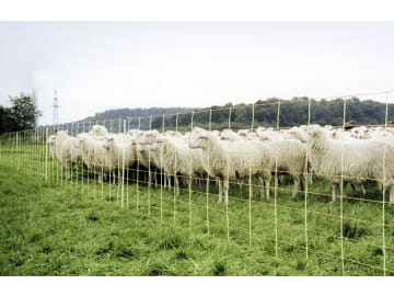Schafzaun "Euro Netz Kombi" 106 cm/50 m, mit Doppelspitze, stromführend, 10355 Schafzaun "Euro Netz Kombi" 106 cm/50 m, mit Doppelspitze, stromführend, 10355