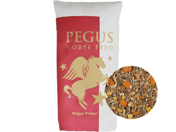 Pegus Power Müsli haferfreies Müsli für Sportpferde Müsli 20 kg Sack Pegus Power Müsli haferfreies Müsli für Sportpferde Müsli 20 kg Sack