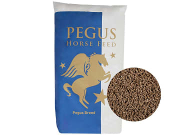 Pegus Breed Junior für Pferde Pellet 25 kg Sack Pegus Breed Junior für Pferde Pellet 25 kg Sack