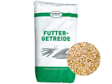 Weizen Ganzkorn ohne Gentechnik Futterweizen für Hühner, Kaninchen und Nager 30 kg Sack Weizen Ganzkorn ohne Gentechnik Futterweizen für Hühner, Kaninchen und Nager 30 kg Sack