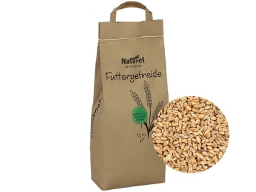 Futterweizen ohne Gentechnik Einzelfuttermittel 5 kg Sack Futterweizen ohne Gentechnik Einzelfuttermittel 5 kg Sack