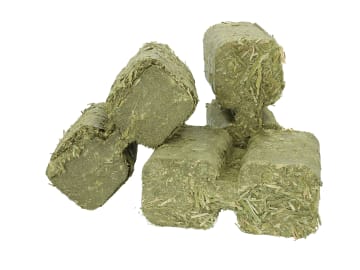 GALLUGOLD LuziBrikks BIO gepresste Premium-Luzernebriketts für Hühner in Bio-Qualität 14 St. Karton GALLUGOLD LuziBrikks BIO gepresste Premium-Luzernebriketts für Hühner in Bio-Qualität 14 St. Karton