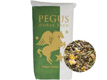 Pegus Classic Kräutermüsli haferfreies und staubfreies, voll mineralisiertes Pferdefutter mit Kräutermischung Müsli 20 kg Sack Pegus Classic Kräutermüsli haferfreies und staubfreies, voll mineralisiertes Pferdefutter mit Kräutermischung Müsli 20 kg Sack
