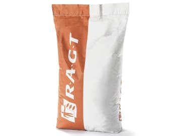 Mais-Saatgut RGT EXXON EH Redigo M + Fortify Phosphorus 50000 Körner/EH (S220 K220) Mais-Saatgut RGT EXXON EH Redigo M + Fortify Phosphorus 50000 Körner/EH (S220 K220)