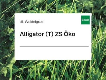 Deutsches Weidelgras Samen Alligator (tetraploid) ZS Bio 25 kg Sack 