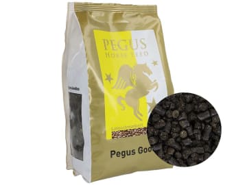 Pegus Natural Leinschmankerl getreide- und melassefreie Pferdeleckerlis aus 100% natürlichen Zutaten mit Leinkuchen und Futterkohle 1 kg Beutel Pegus Natural Leinschmankerl getreide- und melassefreie Pferdeleckerlis aus 100% natürlichen Zutaten mit Leinkuchen und Futterkohle 1 kg Beutel