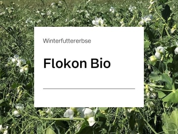 Wintererbse Saatgut Flokon Bio Wintererbse Saatgut Flokon Bio