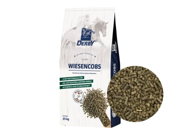 DERBY® Bergwiesencobs naturbelassener, eiweiß- und staubarmer Heuersatz für Pferde zum Einweichen 25 kg Sack DERBY® Bergwiesencobs naturbelassener, eiweiß- und staubarmer Heuersatz für Pferde zum Einweichen 25 kg Sack