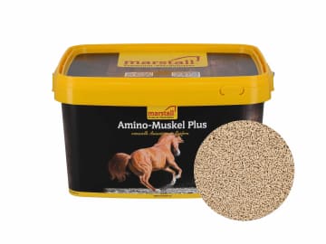 marstall® Amino-Muskel Plus für Pferde Pellet 3,5 kg Eimer marstall® Amino-Muskel Plus für Pferde Pellet 3,5 kg Eimer