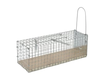 Protect Home Lebendfalle Ratte Drahtkäfig 1 St. Schachtel Mäusefalle zur Nagerbekämpfung Protect Home Lebendfalle Ratte Drahtkäfig 1 St. Schachtel Mäusefalle zur Nagerbekämpfung