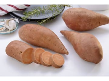 Süßkartoffel Setzlinge Oreleans Bio Palette mit 84 Setzlinge süße Sorte mit orangenem Fruchtfleisch Süßkartoffel Setzlinge Oreleans Bio Palette mit 84 Setzlinge süße Sorte mit orangenem Fruchtfleisch