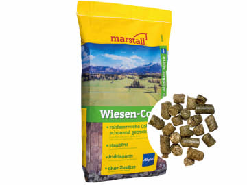 marstall® Wiesen-Cobs staubfreier und eiweißarmer Heuersatz für Pferde zum Einweichen 25 kg Sack GMO controlled (VLOG anerkannt) marstall® Wiesen-Cobs staubfreier und eiweißarmer Heuersatz für Pferde zum Einweichen 25 kg Sack GMO controlled (VLOG anerkannt)