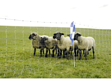 Ako Wolfszaun "OviNet Maxi" 122 cm/50 m, weiß; blau, stromführend, 27394 Ako Wolfszaun "OviNet Maxi" 122 cm/50 m, weiß; blau, stromführend, 27394