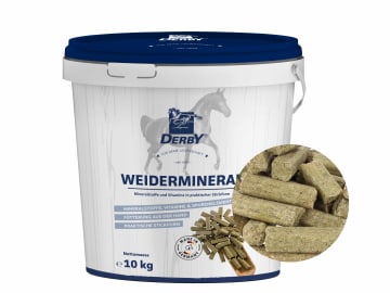 DERBY® Weidemineral Mineralfutter für Pferde, schmackhaftes Ergänzungs- und Anlockfutter für Weidepferde Brikett 10 kg Eimer DERBY® Weidemineral Mineralfutter für Pferde, schmackhaftes Ergänzungs- und Anlockfutter für Weidepferde Brikett 10 kg Eimer