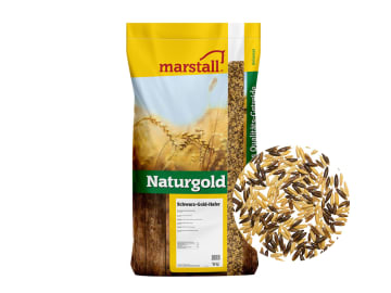 marstall® Schwarz-Gold Hafer naturbelassener, gereinigter Hafer aus 1/3 Schwarzhafer und 2/3 Gelbhafer 25 kg Sack marstall® Schwarz-Gold Hafer naturbelassener, gereinigter Hafer aus 1/3 Schwarzhafer und 2/3 Gelbhafer 25 kg Sack