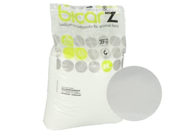 SOLVAY BICAR® Z (Natriumbicarbonat) 25 kg Sack SOLVAY BICAR® Z (Natriumbicarbonat) 25 kg Sack