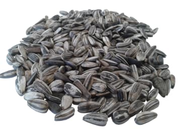 Sonnenblumenkerne für Futterzwecke gestreift Vogelfutter Ganzjahresfutter 25 kg Sack Sonnenblumenkerne für Futterzwecke gestreift Vogelfutter Ganzjahresfutter 25 kg Sack
