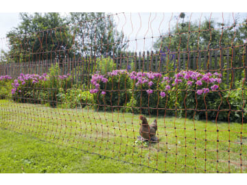 Ako Geflügelzaun "PoultryNet" 112 cm/50 m, orange, mit Doppelspitze, stromführend, 292204 Ako Geflügelzaun "PoultryNet" 112 cm/50 m, orange, mit Doppelspitze, stromführend, 292204
