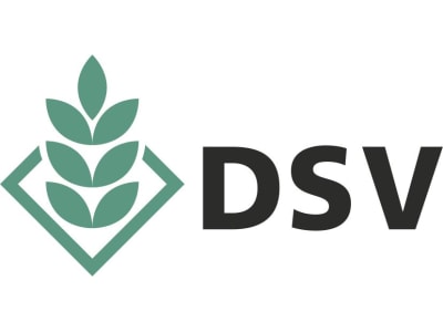 DSV Saaten DSV Saaten