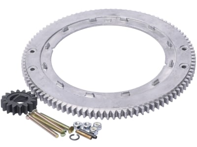 Briggs & Stratton Reparatursatz Anlasser für Modelle 19, 28, 31, 696 537 Briggs & Stratton Reparatursatz Anlasser für Modelle 19, 28, 31, 696 537