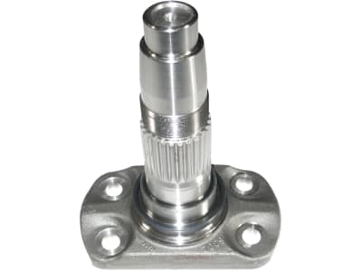 Maschio Zinkenhalter für DM, M36100302R Maschio Zinkenhalter für DM, M36100302R