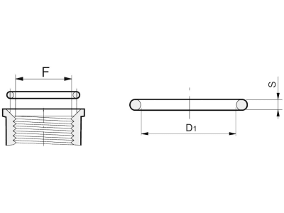 Agrotop O-Ring für Anschlüsse mit Abdichtung durch O-Ring G 2" IG (BSP) Stärke 3,5 mm, 14861