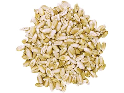 Kaiser Bio-Weizen A (anerkannte Ware) naturbelassener Futterweizen in Bio-Qualität 25 kg Sack Kaiser Bio-Weizen A (anerkannte Ware) naturbelassener Futterweizen in Bio-Qualität 25 kg Sack