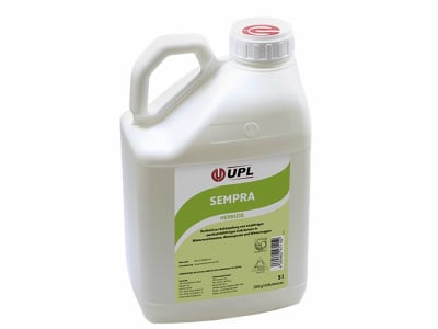 SEMPRA SEMPRA