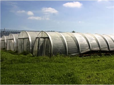 SIGA Farmer® Hochleistungs-Band 6 cm SIGA Farmer® Hochleistungs-Band 6 cm