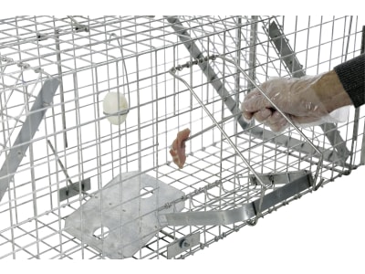 KERBL Kastenfalle "Alive Predator Super" 120 x 33 x 42 cm, für Füchse, streunende Katzen, Waschbären, Marder und andere Tiere, 299477