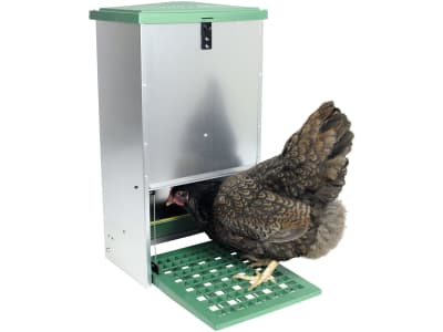 Futterautomat mit Trittklappe, Metall, für Hühner Futterautomat mit Trittklappe, Metall, für Hühner