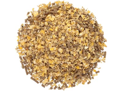 Bonimal FEED RK Kälbermüsli OG Kälberfutter für die Kälberaufzucht Müsli 20 kg Sack Bonimal FEED RK Kälbermüsli OG Kälberfutter für die Kälberaufzucht Müsli 20 kg Sack