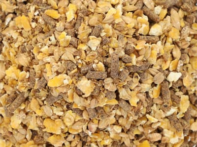 Bonimal FEED RK Kälbermüsli OG Kälberfutter für die Kälberaufzucht Müsli 20 kg Sack Bonimal FEED RK Kälbermüsli OG Kälberfutter für die Kälberaufzucht Müsli 20 kg Sack