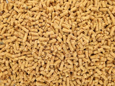 Bonimal FEED GK PMK 3 für Geflügel, Puten Pellet  lose