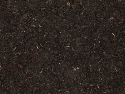 Klasmann-Deilmann Florabella® Blumenerde Anzuchterde Klasmann-Deilmann Florabella® Blumenerde Anzuchterde