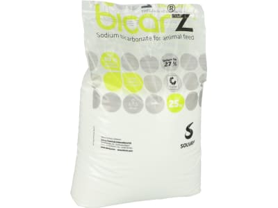 SOLVAY BICAR® Z (Natriumbicarbonat) 25 kg Sack SOLVAY BICAR® Z (Natriumbicarbonat) 25 kg Sack