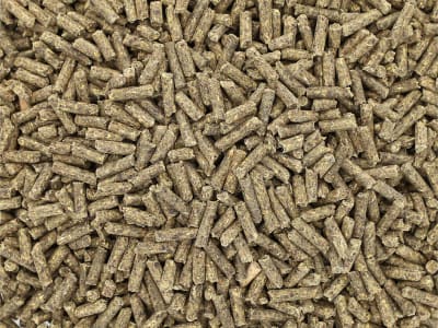 Bonimal FEED WK Apfeltrester Plus pelletiertes Kraftfutter für Rotwild, Rehwild, Damwild, Muffelwild, Schafe und Ziegen 25 kg Sack