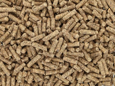 Bonimal FEED WK Wildfutter für Schalenwild, komplettiert die karge Äsung im Winter Pellet 25 kg Sack