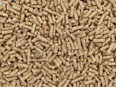 Bonimal FEED RK Kälber 183 EU OG Kälberstarter ab der 2. Lebenswoche Kälberfutter für die Kälberaufzucht Pellet 25 kg Sack
