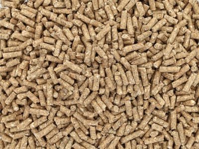 Bonimal FEED RK Kälber 183 EU OG für Rinder Pellet  