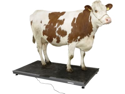 KERBL Tierwaage "PS 3000" Wägebereich 0 – 1.500 kg, 291312