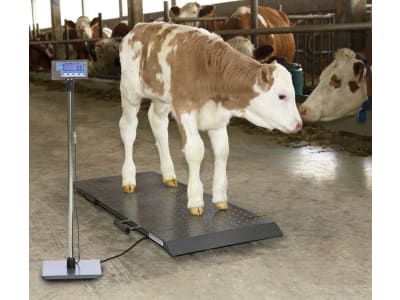 KERBL Tierwaage "PS 1000" Wägebereich 0 – 500 kg, 291310