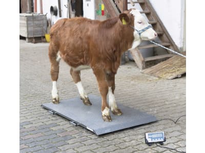KERBL Tierwaage "PS 2000" Wägebereich 0 – 1.000 kg, 291311