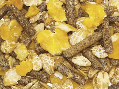 marstall® Haferfrei haferfreies Komplettmüsli für Pferde 20 kg Sack marstall® Haferfrei haferfreies Komplettmüsli für Pferde 20 kg Sack
