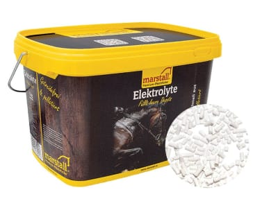 marstall® Elektrolyte für Pferde 3 kg Eimer