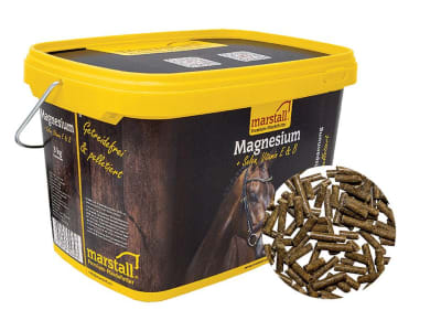 marstall® Magnesium getreidefreies, pelletiertes Zusatzfutter mit Selen für Pferde 3 kg Eimer marstall® Magnesium getreidefreies, pelletiertes Zusatzfutter mit Selen für Pferde 3 kg Eimer