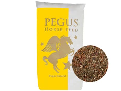 Pegus Natural Mash getreidefreies, melassefreies Mash für Pferde 15 kg Sack Pegus Natural Mash getreidefreies, melassefreies Mash für Pferde 15 kg Sack