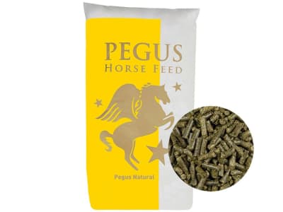 Pegus Natural Wiesencobs (Kleinpackung) naturbelassener, eiweiß- und staubarmer Heuersatz für Pferde zum Einweichen Pellet 25 kg Sack Pegus Natural Wiesencobs (Kleinpackung) naturbelassener, eiweiß- und staubarmer Heuersatz für Pferde zum Einweichen Pellet 25 kg Sack